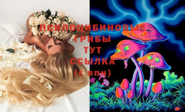 молекула духа Балахна