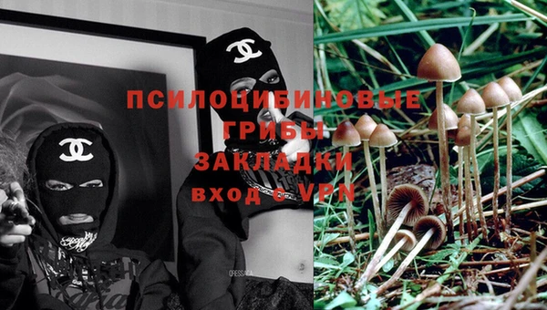 молекула духа Балахна