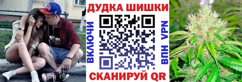 Бошки марихуана сатива Курчатов